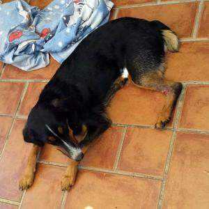 IMG-20150701-WA0005